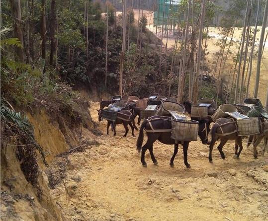 馬幫山路運輸