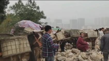 騾馬山區(qū)運輸